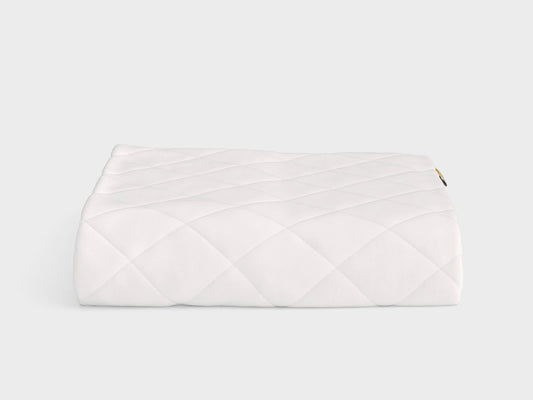 BBM Mattress Protector – Waterproof Bed Cover